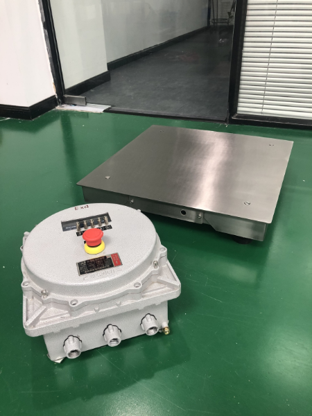 隔爆小地磅1 隔爆小地磅1